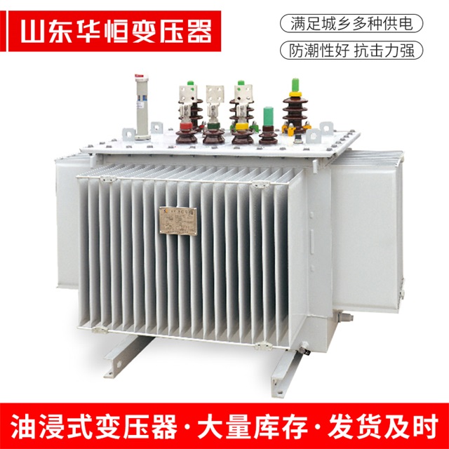 S13-10000/35乐东乐东乐东电力变压器